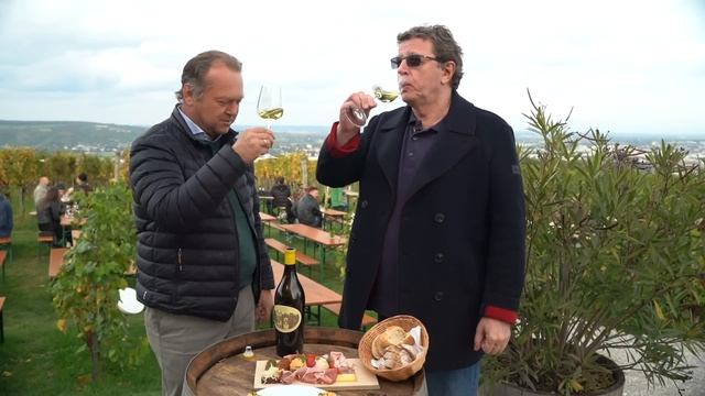 ПОПАЛ В ВЕНУ смотреть онлайн