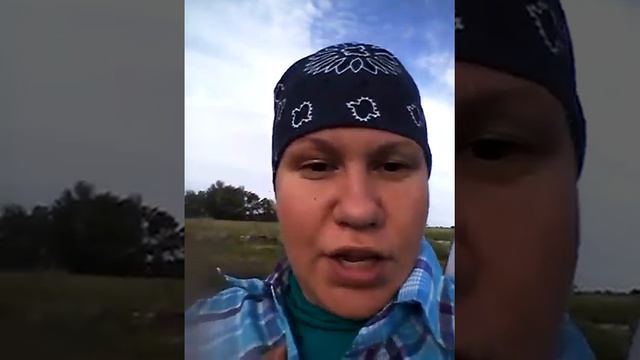 Видео 22. Мы поехали на рыбалку. смотреть онлайн