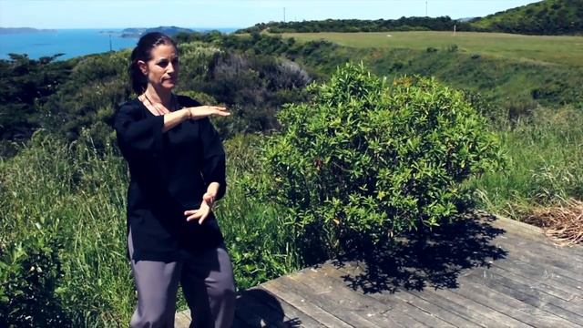 Tai Chi 5 Minutes a Day Module 01 - easy for beginners смотреть онлайн