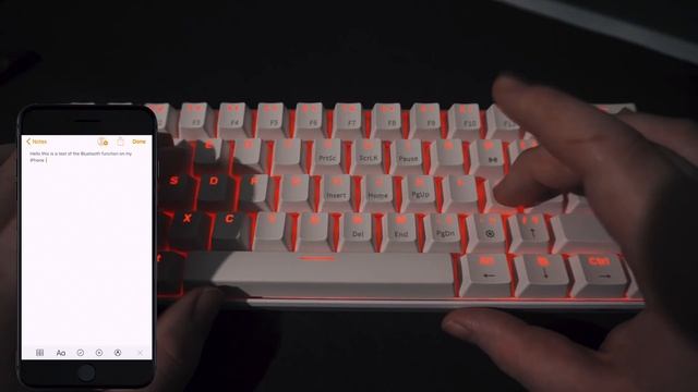 Royal Kludge RK61 RGB 60% Mechanical Keyboard Review | Best Budget Keyboard of 2020! ($50) смотреть онлайн