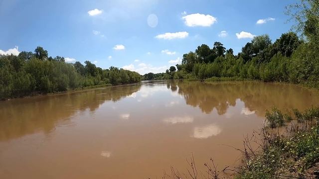 Deadly Snakes for Bait Catch Monster Fish смотреть онлайн