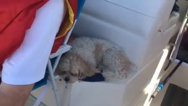 Lake Superior Suzuki 9.9 High Thrust смотреть онлайн