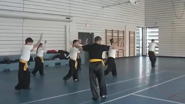Hong Kong Choy Lay Fut Master Wong Chi Yuen in France смотреть онлайн
