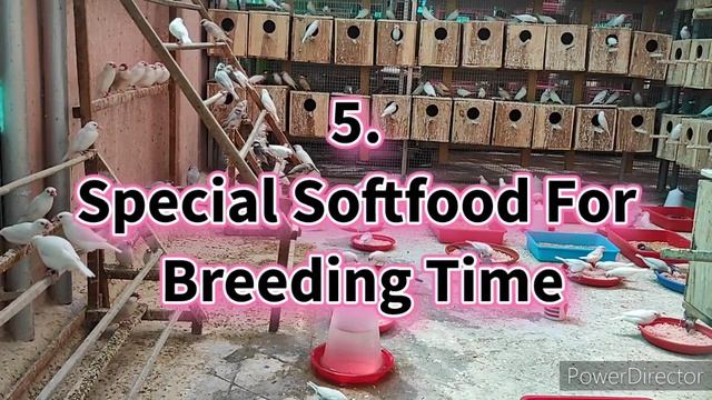 ??? ?? ???????????? ????? ???? ?????| ?? ??????? ???????? ????|♂️♀️??????????????| ?????????| ????? смотреть онлайн