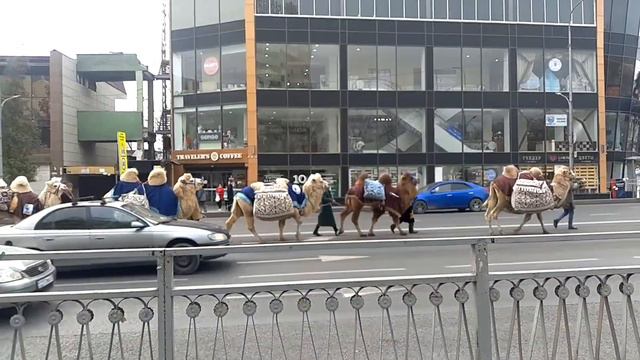 Шымкент мәдениет қаласы смотреть онлайн