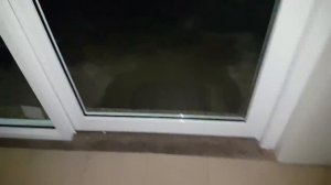 И прилетело и приползло ! Жизнь в Австралии.Элла Австралия