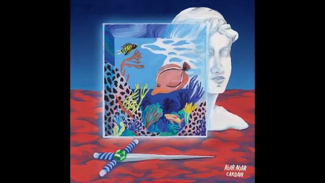 Agar Agar - Aquarium