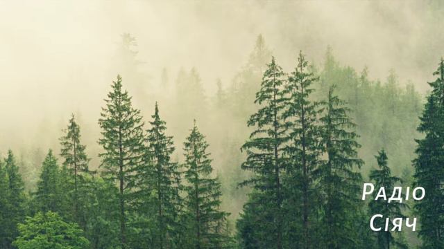 Конец света PART 3  расказ 