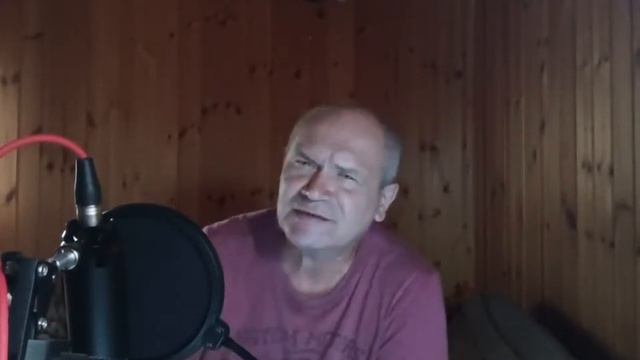 Розовые розы (ВМ12) смотреть онлайн