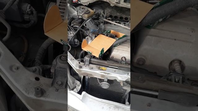 3s fse-d4 плавают обороты Toyota Nadia смотреть онлайн