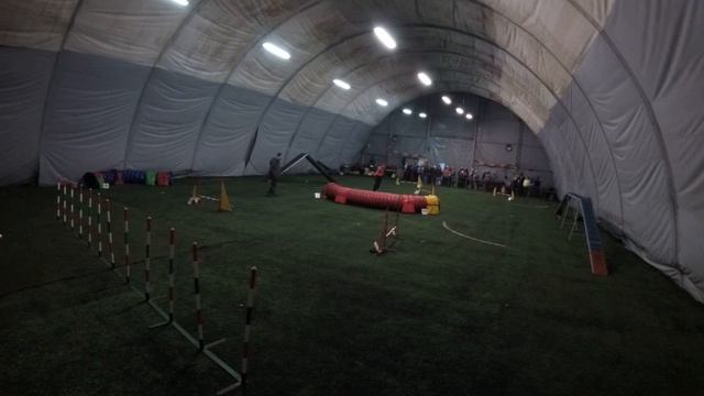 Макашова Анна (eMotionDogs Agility) Гандикап, Аджилити Манеж