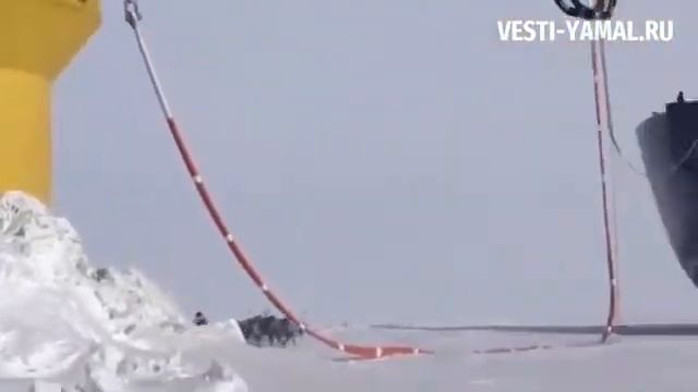 На Sabbeta был замечен Дед Мороз))) смотреть онлайн