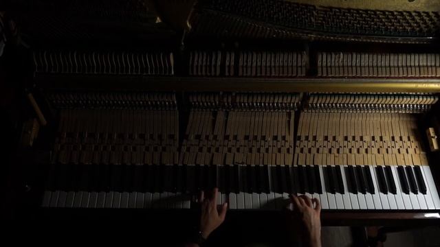 Carly Comando - Everyday (Cover)