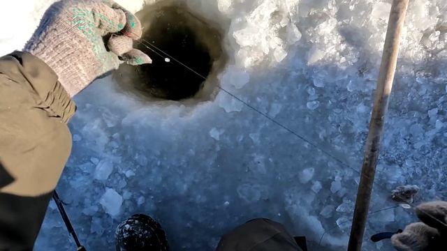 Щука рвёт и мечет! Опять гора рыбы!!! НЕМО рулит!!! смотреть онлайн