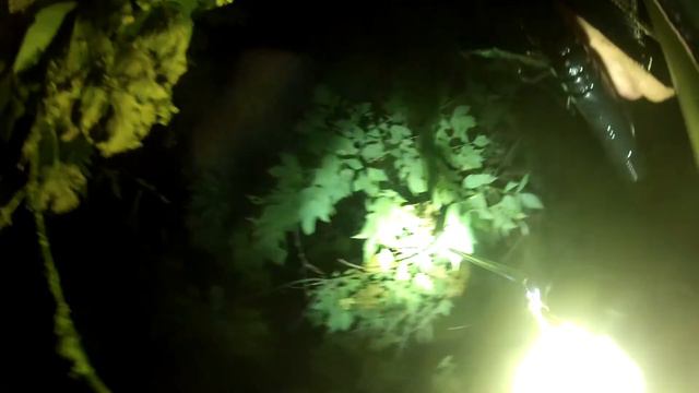 Подводная охота 05.09.2016 на реке Сейм (loser day) смотреть онлайн