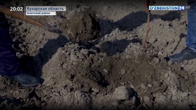 В настоящее время один гектар из каждых десяти гектаров пашни выделяется молодежи