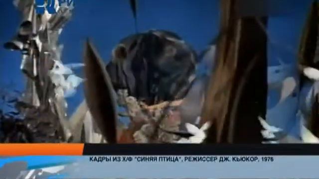 выставка Широкова смотреть онлайн