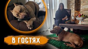 В Гостях у Олега. За кадром в прямом эфире. Подгатовка Валера готовит.