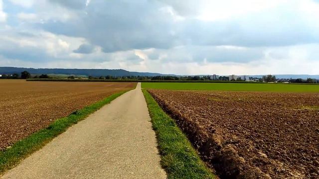 German Field. Поле в Германии.