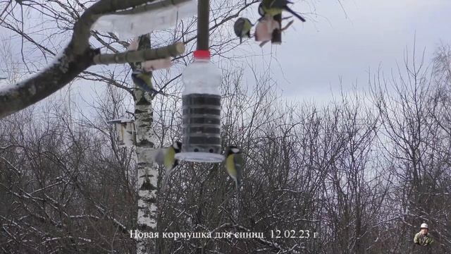 12. 02. 23 г. Новая кормушка для синиц. смотреть онлайн