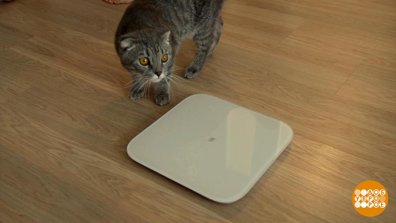 Первый канал