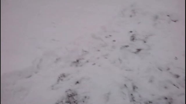 Выпрямил границу участка в меньшую сторону. смотреть онлайн