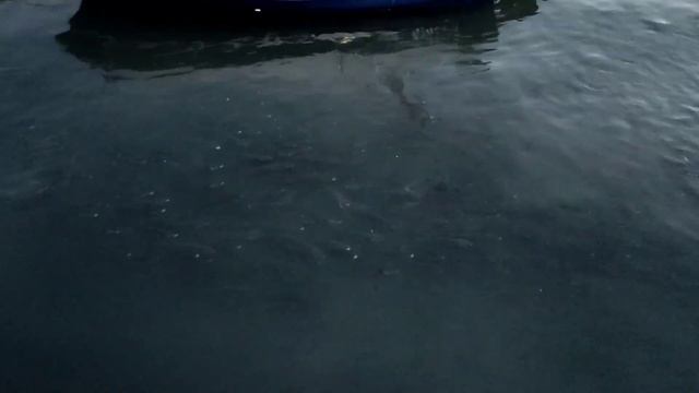 Кавала. Греция 27.06- 1.07.2022 смотреть онлайн