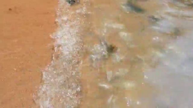 Бэйдайхэ-Бохайский залив 6 часть смотреть онлайн