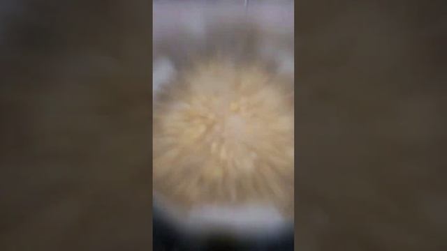 Гороховый суп, с рёбрышками по-мемфисски, получается очень вкусным и насыщенным! #porkribs #bbq