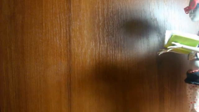 Stop Motion клип монстер хай 13 желаний смотреть онлайн