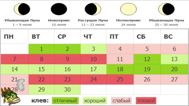Календарь Рыбалки на Июнь 2021 Лунный Календарь Рыболова Июнь Какая рыба клюет в Июне. смотреть онлайн
