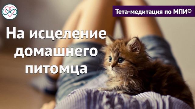 Короткая медитация на исцеление домашнего питомца (Ева Ефремова) смотреть онлайн