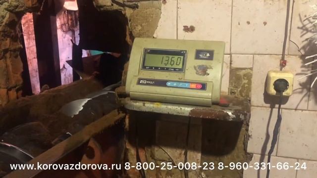 Производство мясокостной муки смотреть онлайн