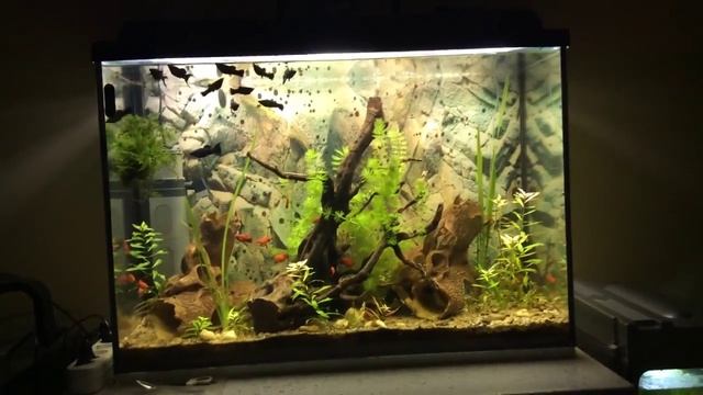 Видеоролик от клиета с светодиоднвми лампами от Aquarium Kuvage. Часть 2 смотреть онлайн