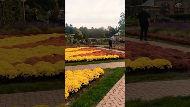 The Biltmore Gardens in North Carolina смотреть онлайн