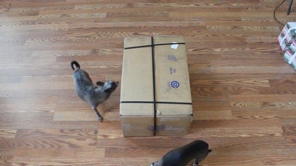 Weekly Update 5-30-19