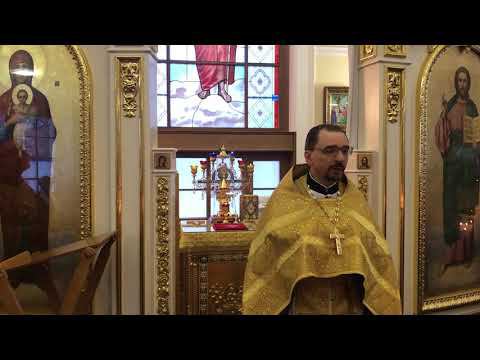 Проповедь протоиерея Владимира Кочубея в Неделю пред Богоявлением смотреть онлайн