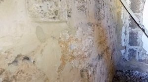 Крепёж РАКУШНЯК | ГАЗОБЕТОН | ПЕНОБЕТОН