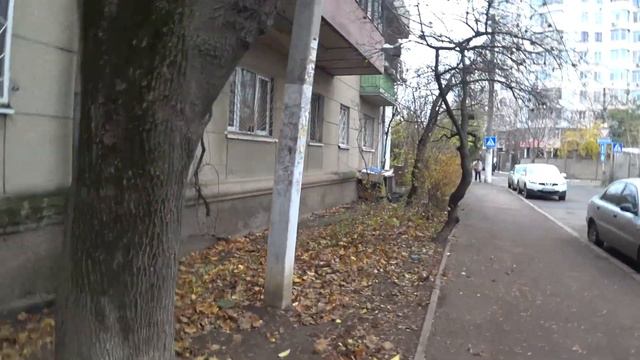 Украина 4 Декабря. Ситуация в Одессе и Николаеве. Что Происходит в Херсоне? Первый Снег смотреть онлайн
