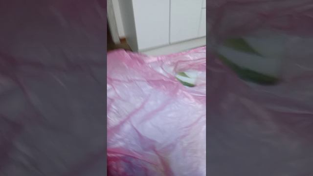Платье из подручных средств ч 1 смотреть онлайн