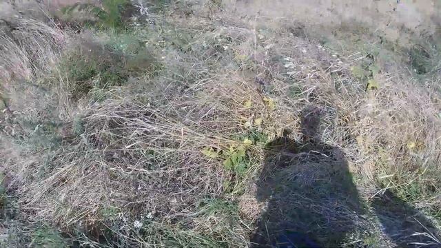 #SJCAM #SJ8 #PRO как мы были на копе вчера с #XTerra 705 смотреть онлайн