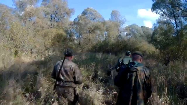 Загонная ОХОТА НА ЛОСЯ смотреть онлайн