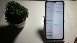 how to set private DNS mode automatic in Techno Spark 9