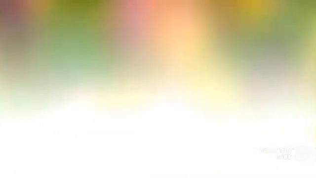 Laburnocytisus - garden plants смотреть онлайн