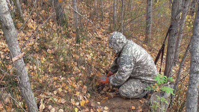 Как поставить капкан кп 250 на норе.Охота на барсука смотреть онлайн