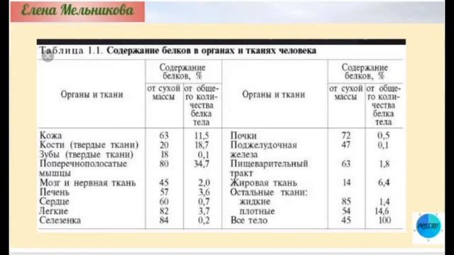 Белок Лекция 8 смотреть онлайн