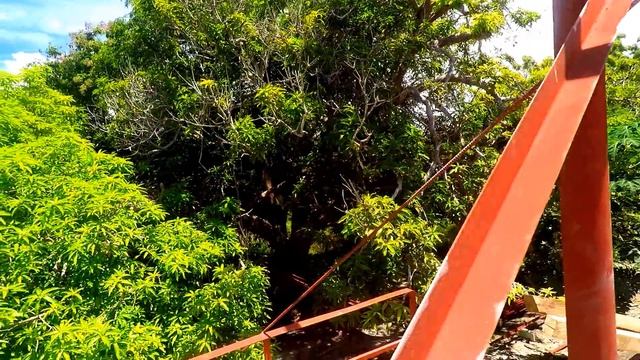 Самые опасные обманы филиппинок - Новости со стройки - Alex Cebu Жизнь на Филиппинах смотреть онлайн