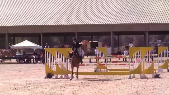 Winter Classic II FHP смотреть онлайн