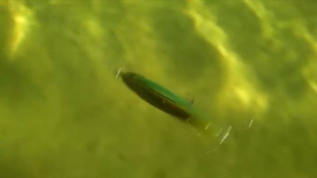 обзор воблера СТРАЙК ПРО арчбек strike pro archback братья щербаковы воблер на щуку окуня твичинг смотреть онлайн