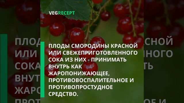 Жаропонижающие средства смотреть онлайн